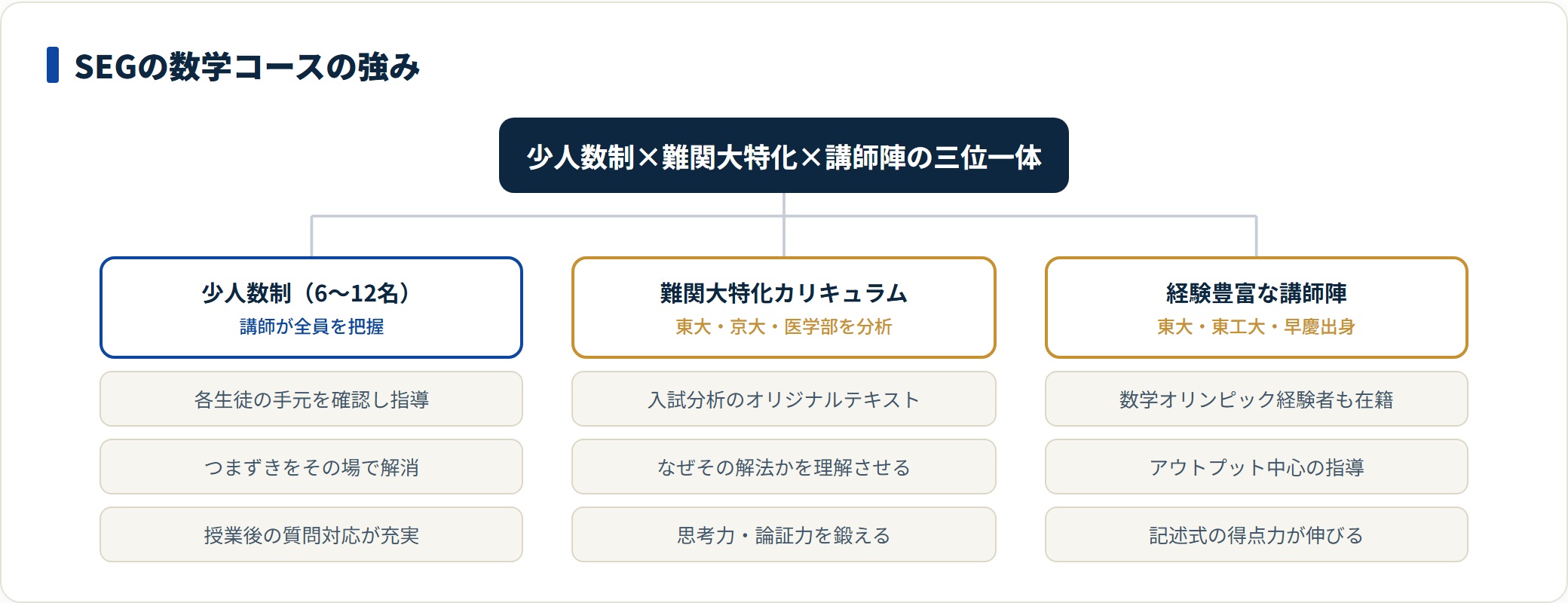 SEGの数学コースの3つの強みと効果を示す分類図。
