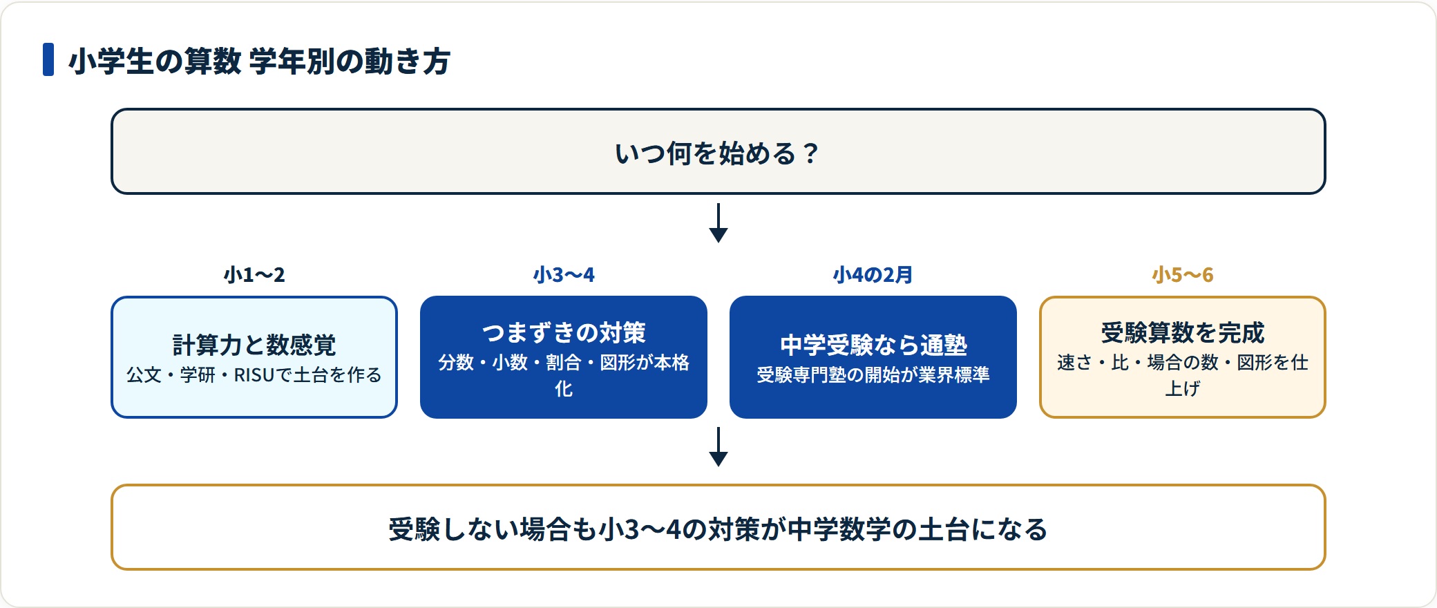 小学生の算数学習を学年別に示した図。小1〜2で計算力と数感覚、小3〜4でつまずき対策、中学受験なら小4の2月に通塾を開始し、小5〜6で受験算数を完成させる流れを整理している。